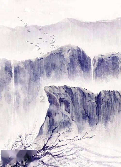 昆明动物园通报“猴猫共处”新进展,专家:将猫与猴关在一起不合适,会让猫常处于紧张和压力之中