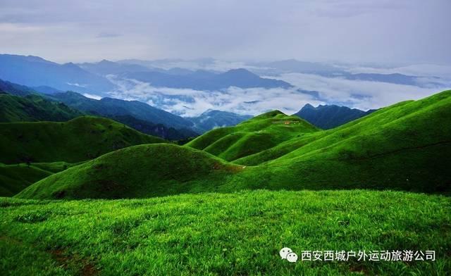 后卫营救