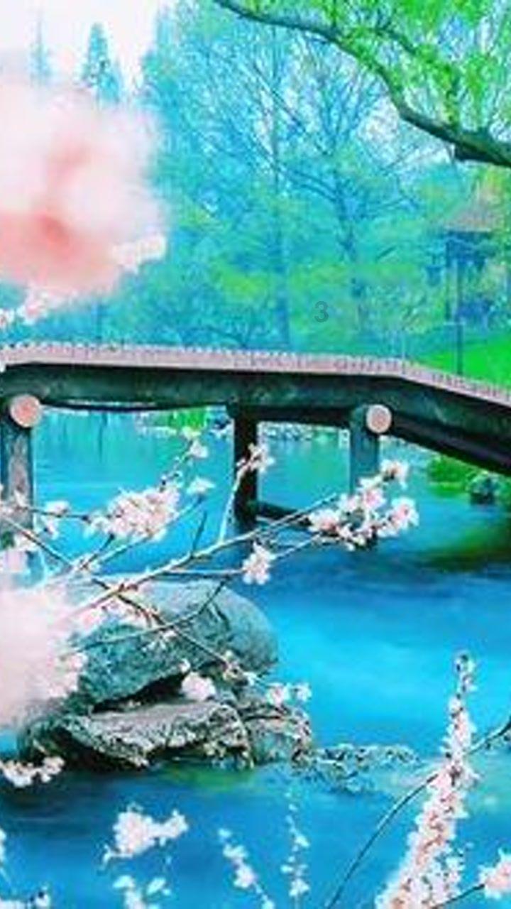 为什么年轻人喜欢和长辈相处？游戏画面